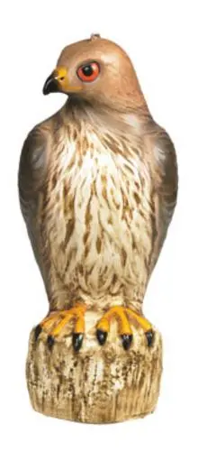 Bird-B-Gone MMRTH1 Red Tailed Hawk Decoy Effective Bird Deterrent