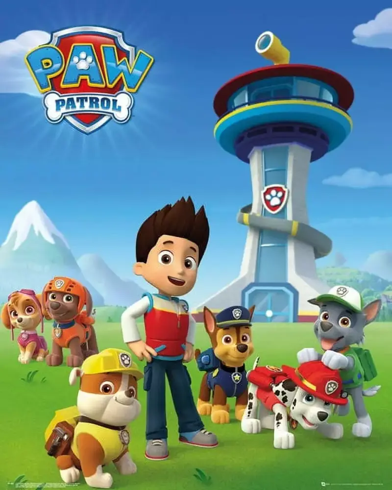 Paw Patrol Team Laminated Poster 16 x 20 Inches Kids Room Decor Rolled Poster